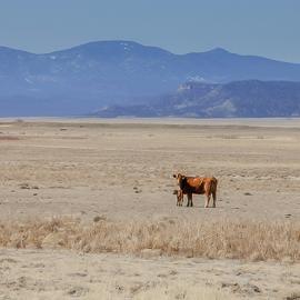 Drought in the Southwest